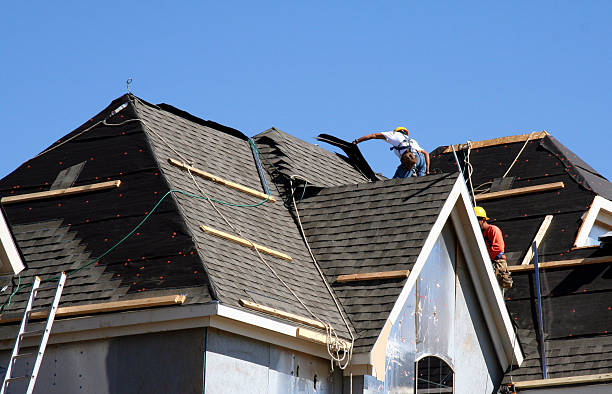 Best Local Roofing Companies  in Cass City, MI