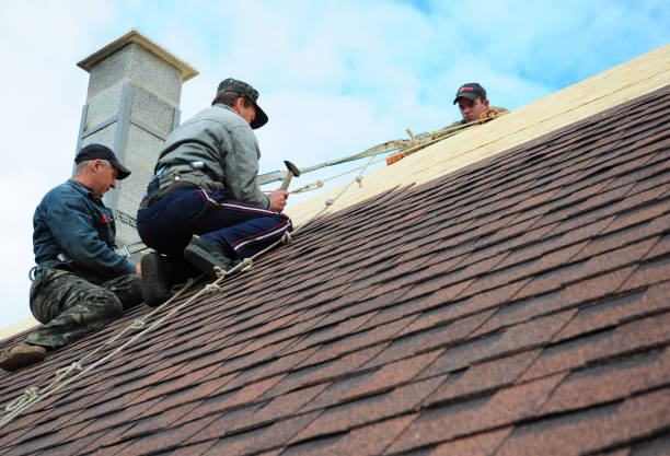 Best Commercial Roofing Services  in Cass City, MI